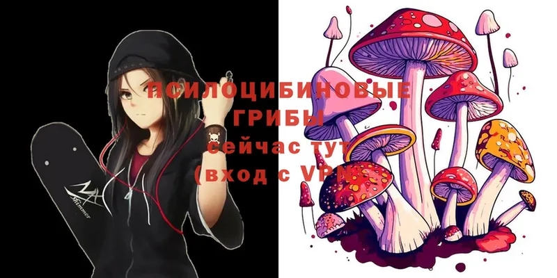 Галлюциногенные грибы Psilocybine cubensis  darknet телеграм  Ветлуга  где найти наркотики 